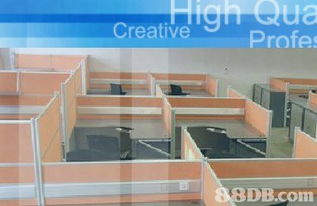 衍智集團提供裝飾工程 配套家俬 電腦網(wǎng)絡(luò)布線及電腦 電子產(chǎn)品等產(chǎn)品