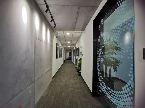 酒店設(shè)計 工裝設(shè)計 建筑裝飾工程智能化設(shè)計所